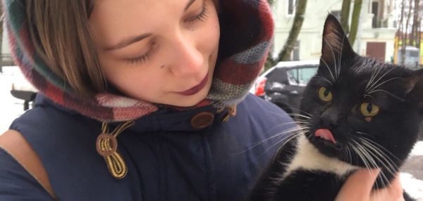 В Кировске спасли кота попавшего в ловушку под асфальтом