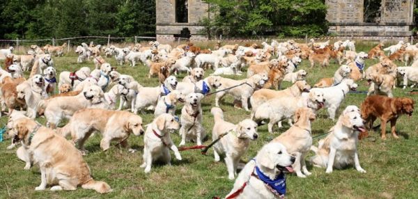 В ШОТЛАНДИИ ПРОШЛА БОЛЬШАЯ ВСТРЕЧА "ХОРОШИХ МАЛЬЧИКОВ