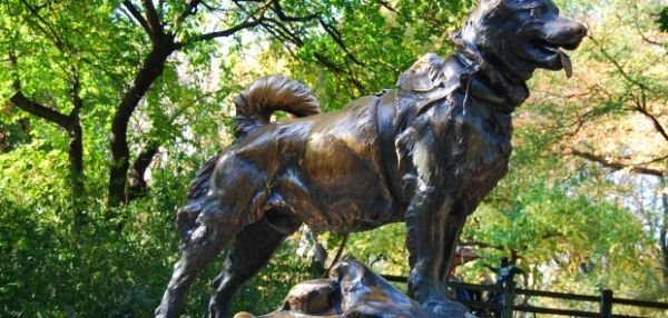 15 животных, сыгравших важнейшую роль в истории человечества