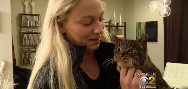 «Ребята, вы просто герои!» Женщина нашла своего кота спустя десять лет: все это время она думала, что любимец погиб под машиной