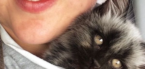 Спасенный котенок с необычным окрасом вырос и полностью изменился