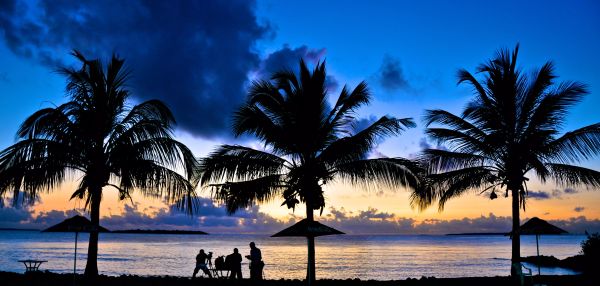 ОСОБЕННОСТИ СТЕРИЛИЗАЦИИ ХОРЬКОВ