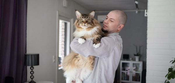 В Финляндии возможно живет самый крупный кот в мире