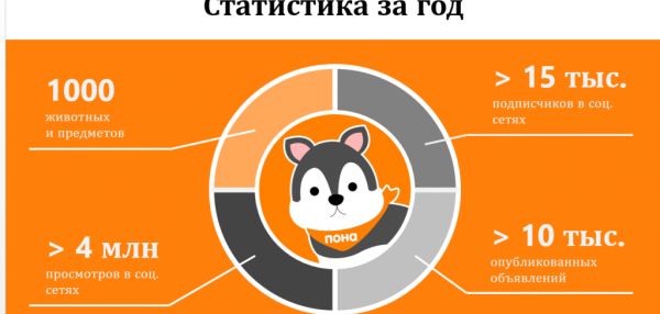 «ПОТЕРЯЛНАШЕЛ» — СТАРТАП ФЕДЕРАЛЬНОГО МАСШТАБА