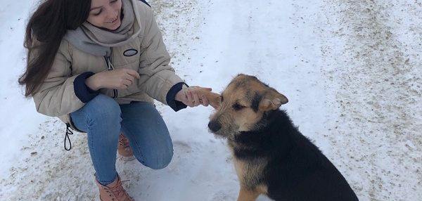 С 2019 года вступил в силу Федеральный закон «Об ответственном обращении с животными». Он определяет условия обращения с животными, обязанности и ответственность владельцев.