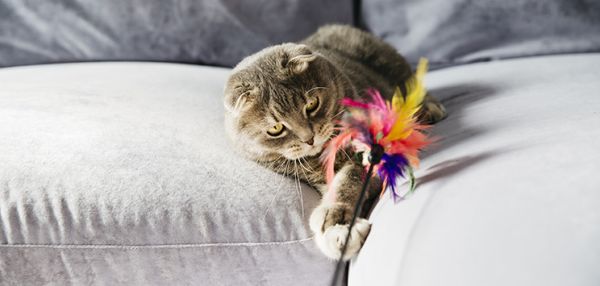 фывфывфывфывфывфывфывфыв