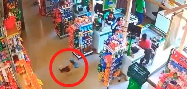 КАМЕРА В МАГАЗИНЕ ЗАСНЯЛА МАЛЕНЬКОГО ХВОСТАТОГО ВОРИШКУ, СТАЩИВШЕГО ПАКЕТ С ХЛЕБОМ