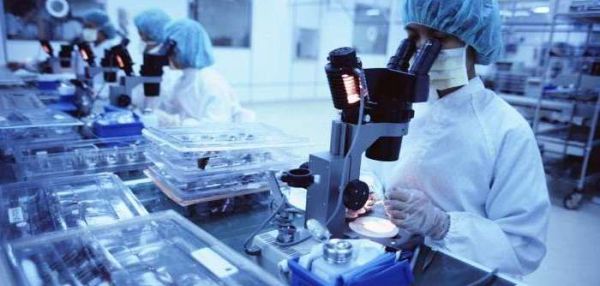 Стало известно, какие сны видят животные