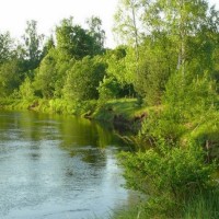 объявление с фото