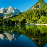 Проверка создания объявления