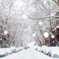 Потеряно:  телефон