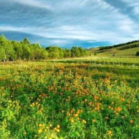 объявление с фото