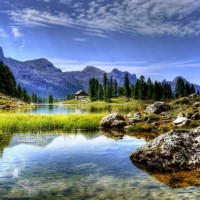 объявление с фото