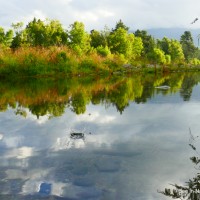 объявление с фото
