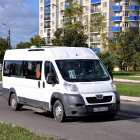 тест картинок 3