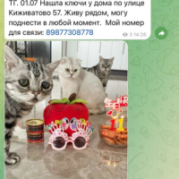 Потеряно:  кота